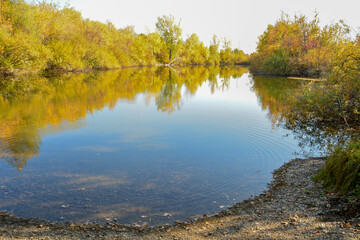The forest lake reflects trees with yellow foliage in its waters