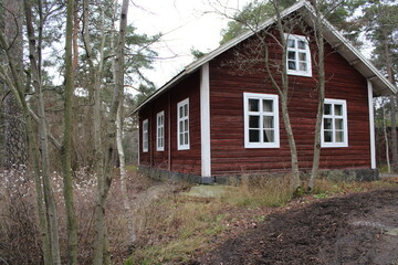 Obraz premium old house in the woods