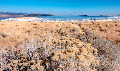 scenery around mono lake in california
