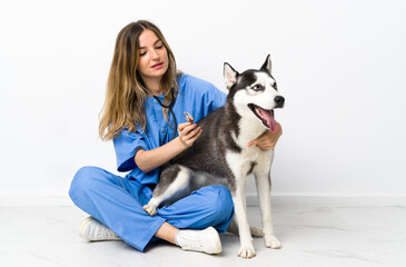 Veterinary doctor at vet clinic with Siberian Husky dog