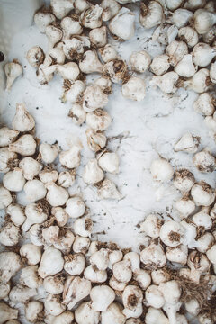 Garlic