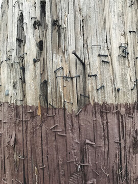 Close up of painted telephone pole and metal staples