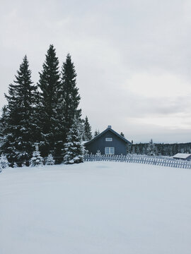 Tall Fir Trees Next to Wooden Cabin in Beautiful White Norwegian Countryside