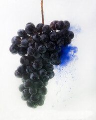 grapes and splashes of watercolor in water