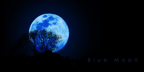 Blue moon in the night sky. 