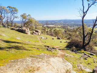 Fototapeta premium Mt Alexander in Harcourt in Australia