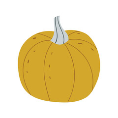Pumpkin food vector icon design illustration. Autumn halloween pumpkin, vegetable graphic icon. Thanksgiving pumpkin vector illustration.
