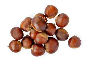 Chestnut Isolated on white background. Autumn Chestnuts for Christmas Top view. Flat lay