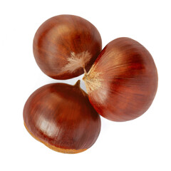 Chestnut Isolated on white background. Autumn Chestnuts for Christmas Top view. Flat lay