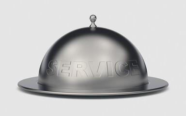 Steel plate dish with cap isolated to solid background. Client service