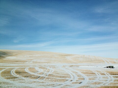 A Dusting of Snow on Wheat Fields