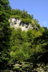 Landschaft und Felsenhänge im Kleinziegenfelder Tal, Fränkische Schweiz, Landkreis Lichtenfels, Oberfranken, Franken, Bayern, Deutschland