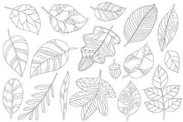 collection of autumn bizzare leaves for your coloring book