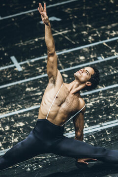 dance,art,body,drama,ballet,play,emotion,move