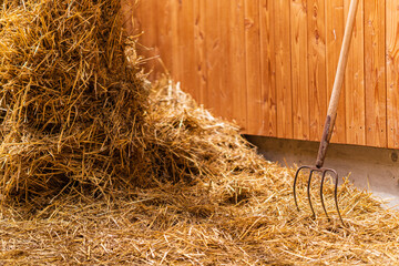 Pitchfork in straw. Pitch Fork stuck into a pile of sunlit straw down on a farm. Concepts of...