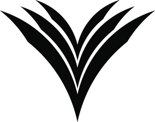 black and white butterfly