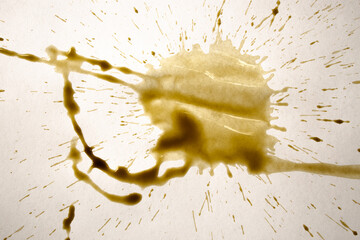Spot from a cup of coffee on white paper / Coffee Stains Set / coffee paint stains