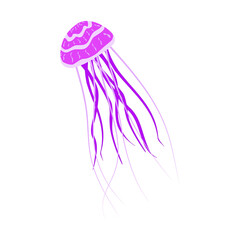 Obraz na płótnie Canvas Purple jellyfish with long tentacles isolated on white. A jellyfish with a beautiful pattern and flexible tentacles. Vector EPS10.