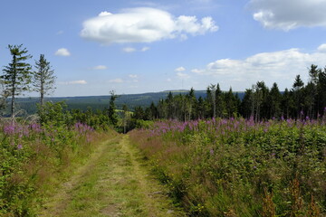 Landschaft am Schwedenwall im Bioshärenreservat Rhön zwischen Hessischer Rhön und Bayerischer Rhön, Deutschland
