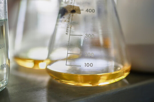 Erlenmeyer flasks in laboratory.