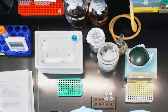 Laboratory work area