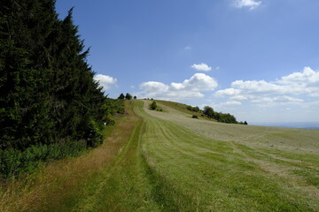 Landschaft am Himmeldunkberg im Bioshärenreservat Rhön zwischen Hessischer Rhön und Bayerischer Rhön, Deutschland