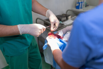 Veterinarian doctor and female assistant performing a foot tumor surgery on an animal clinic