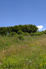 Obraz premium Landschaft am Himmeldunkberg im Bioshärenreservat Rhön zwischen Hessischer Rhön und Bayerischer Rhön, Deutschland