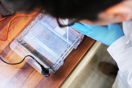 Life Sciences: DNA scientist performing an experiment