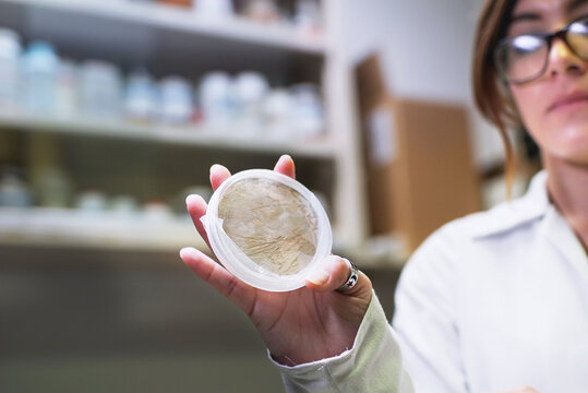 DNA research student holding fungi sample