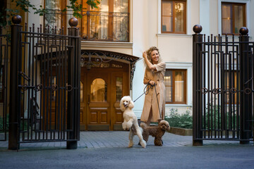 girl with two dogs in the city. Charming woman and poodles at walk.
