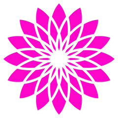 lotus flower illustration