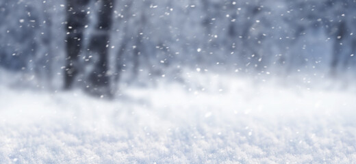 Winter background with forest during snowfall, panorama
