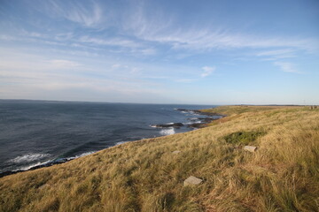 Beautiful landscape at Philip Island, Victoria, Australia