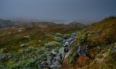 Fototapeta na wymiar Widok na Park Narodowy Hardangervidda w ciemny mglisty dzień