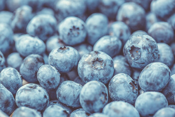 Close up of a detail fresh blueberries, macro concept