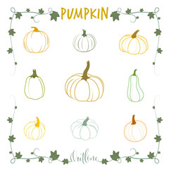 Pumpkin outline vector illustration set on white background.