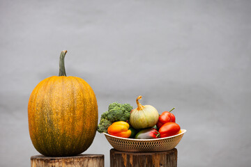 Bright colorful vegetables on a grey concrete background. Fresh organic vegetables (broccoli, tomatoes, peppers and pumpkin) from the garden on a wooden stumps. Autumn concept, harvest, healthy food.