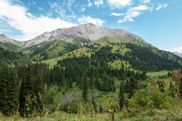 Mountain peaks covered with trees and rocks on the background of blue sky. Kazakhstan