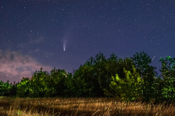Comet Neowise in the night sky with stars over trees and a field