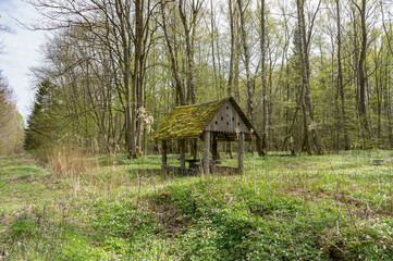 Summer house in the forest. Forest gazebo covered with moss.
