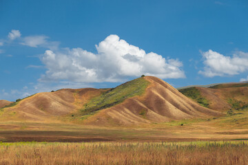 Picturesque yellow hills in the Tekes river valley. Blue sky with white scenic clouds.