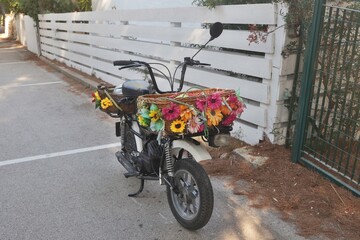Motorino fiorito