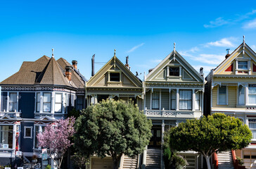 The Painted Ladies of San Francisco, California, USA. View from Alamo Square at twilight, San Francisco. Victoria houses in san francisco
