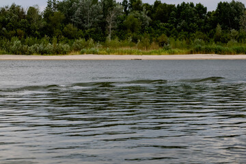 Simple landscape with the freshwater river don in the Rostov region. Warm season, summer, cloudy sky over the sandy beach and green vegetation.

