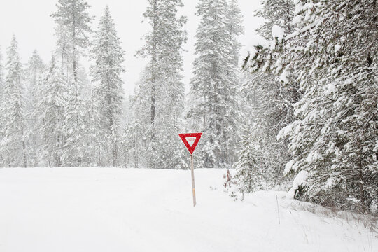 Yield sign on snowy winter road.