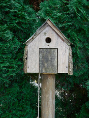A wooden birdhouse standing on a wooden pole surrounded by green coniferous trees.