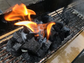 fire in the fireplace