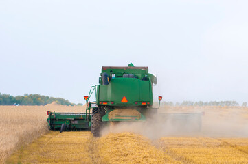 green combine harvester removes wheat from the field rear view close up