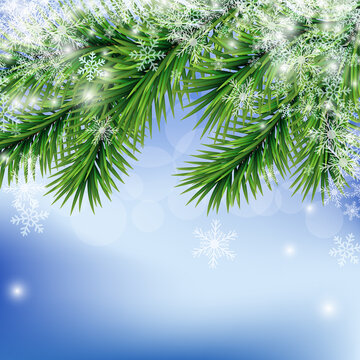 Vector beautiful christmas blue background concept design of white snowflake and green fir branch with copy space